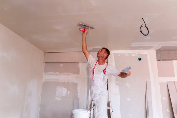 Best Residential Painting  in USA